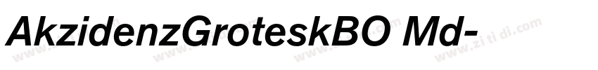 AkzidenzGroteskBO Md字体转换